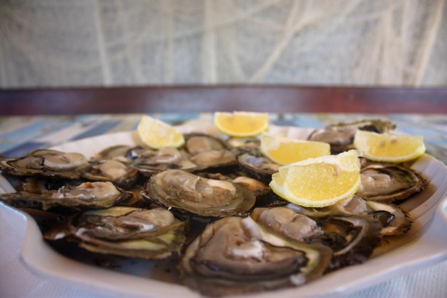 A plate of freshly shucked oysters and lemon wedges.