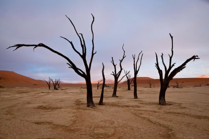 Over 1,000-year-old trees at Dead Vlei in Namibia create a perfect backdrop for photographers